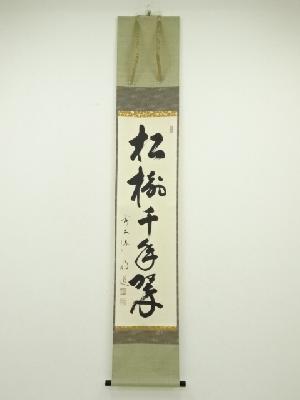 前大徳　戸上明道筆　「松樹千年翠」一行書　肉筆紙本掛軸（共箱）